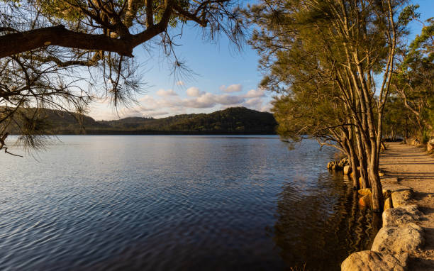 istock Sunset in the lake 1462309779