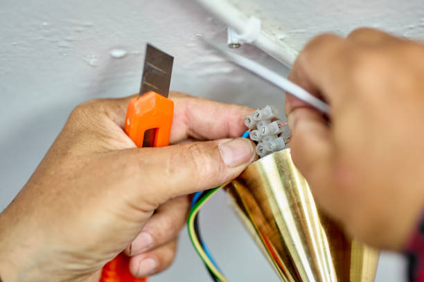 istock Connection of wires in connecting  block when installing ceiling lighting. 1462309902