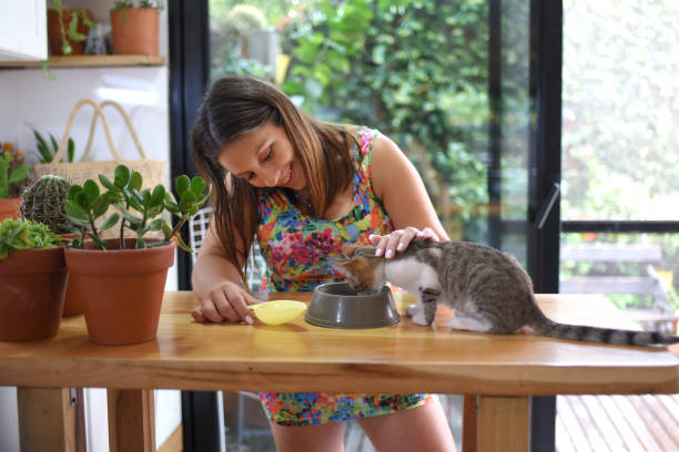 istock woman feeding a small cat 1462315654