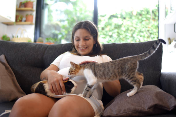 istock pregnant woman with pets on the sofa 1462316605
