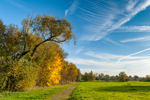Autumn scene with the colorful foliage of a forest, a meadow, a path and veil clouds in the blue sky in nice weather