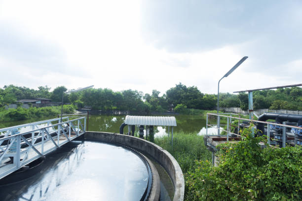 istock Sewage treatment pond in industrial plants 1462329020