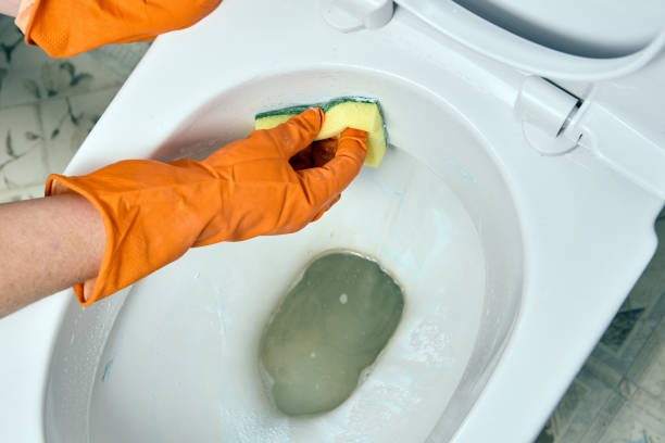 istock Cleaning toilet bowl with cleaning sponge using protective rubber gloves. 1462371021
