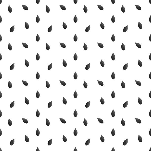 черные семена кунжута бесшовный рисунок на белом фоне. - sesame black seed white background stock illustrations