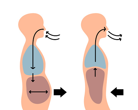 isolated of human body when breathe in and breathe out in flat vector style.