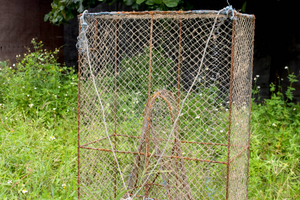istock bubu or fish trap made of rope and iron 1462397963
