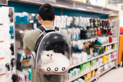 Man At the Store with Kitten -  Cat in Pet Backpack