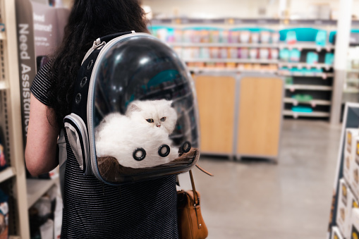 Lady At the Store with Kitten -  Cat in Pet Backpack