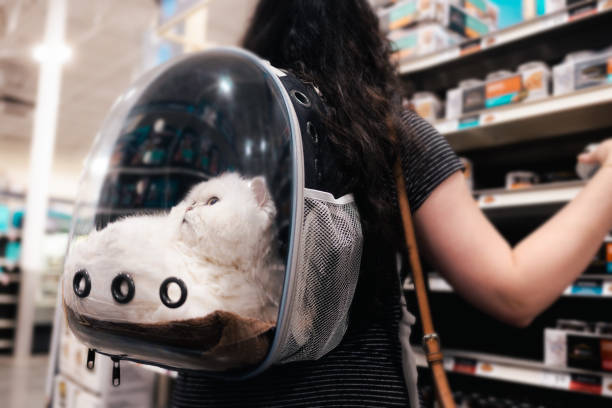 Lady At the Store with Kitten -  Cat in Pet Backpack