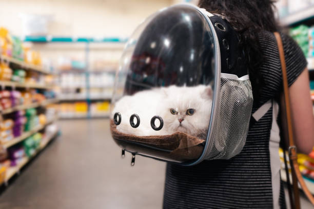 Lady At the Store with Kitten -  Cat in Pet Backpack