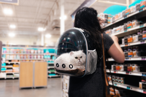 Lady At the Store with Kitten -  Cat in Pet Backpack