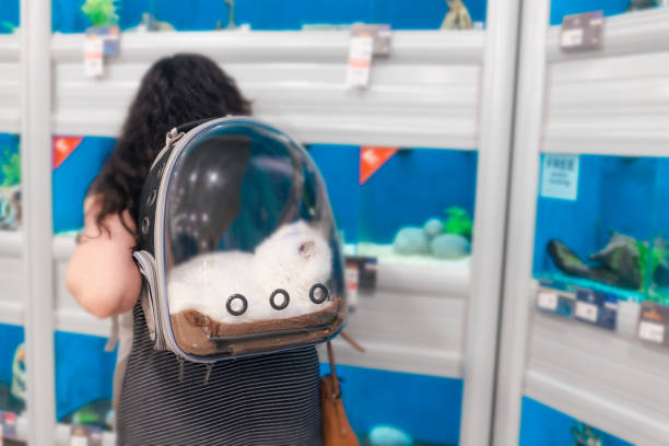 At the Pet Store with Kitten - Cat in Pet Backpack