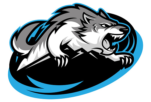 A logo design of wolf