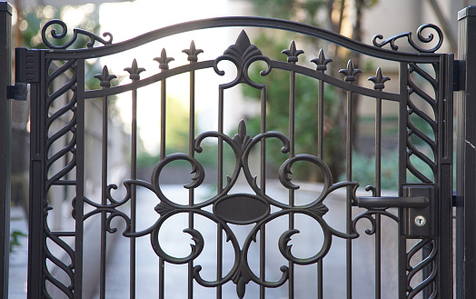The gate with the iron design of the entrance of the park