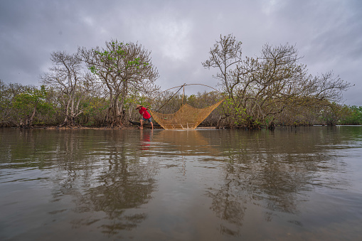 Fisherman in Ru Cha forest - a mangrove forest in leaf changing season - Huong Phong, Huong Tra, Thua Thien Hue province