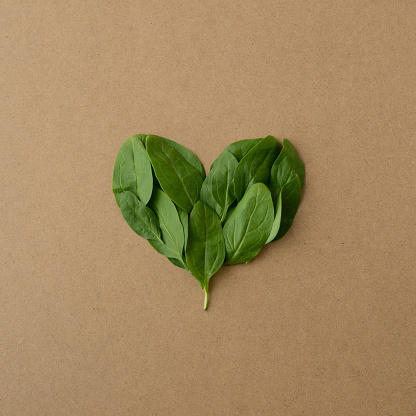 Green heart. Heart shape in fresh green spinach leaves. Valentines day. Green love, kraft background