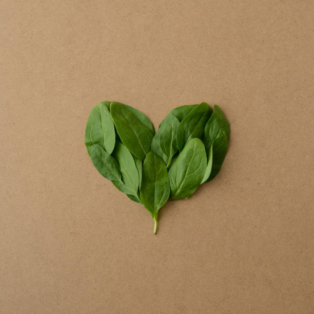 coração verde. forma do coração em folhas de espinafre verde fresco. dia dos namorados. amor verde, fundo kraft - heart shape grass paper green - fotografias e filmes do acervo