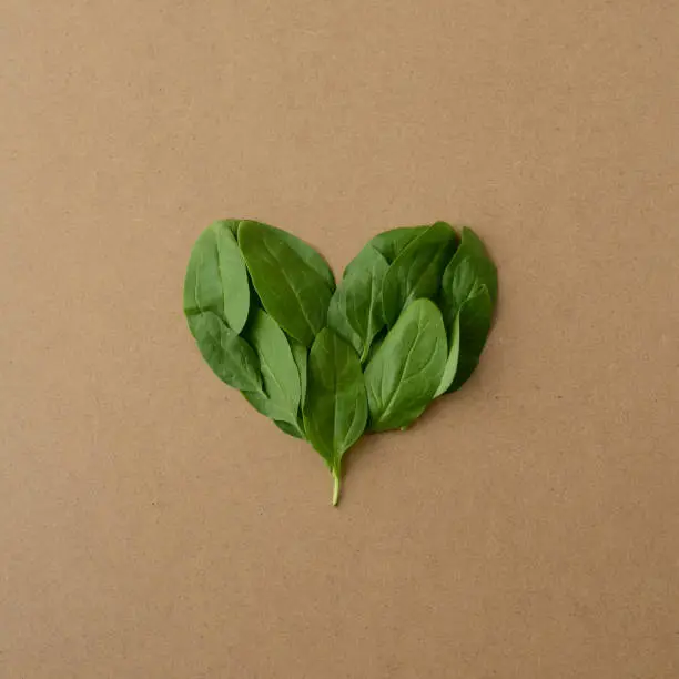 Green heart. Heart shape in fresh green spinach leaves. Valentines day. Green love, kraft background