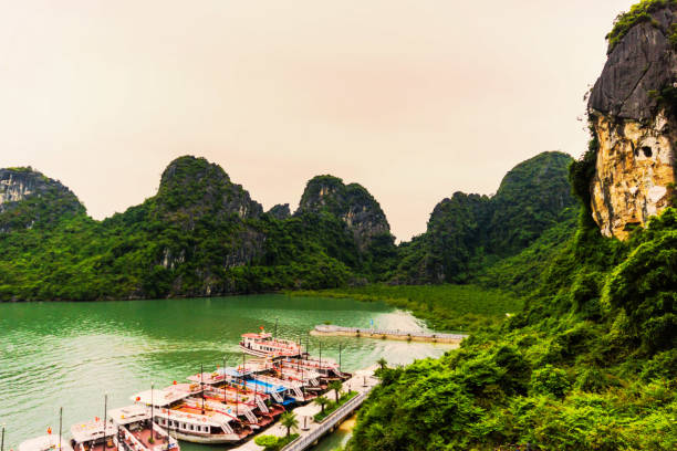 zatoka ha long, w północno-wschodnim wietnamie, znana jest ze szmaragdowych wód i tysięcy wysokich wapiennych wysp zwieńczonych lasami deszczowymi - halong bay zdjęcia i obrazy z banku zdjęć