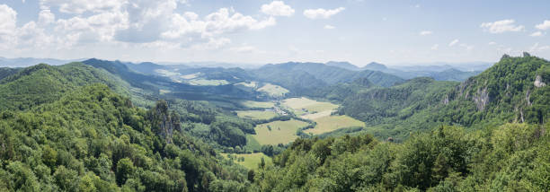 istock Panoramic view on green valley surrounded by lush forest and mountains, EU, Slovakia 1462506485
