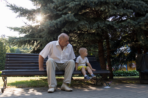 Grandfather and grandson are sitting on a bench in the park. An old man walks in the park with a little boy...