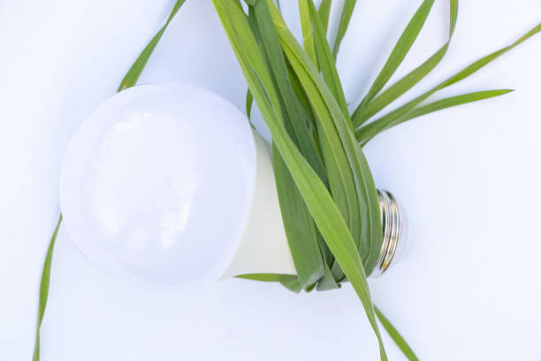 energiesparlampe und grünes gras auf dem rasen nahaufnahme - compact fluorescent lightbulb isolated on white light bulb close up stock-fotos und bilder