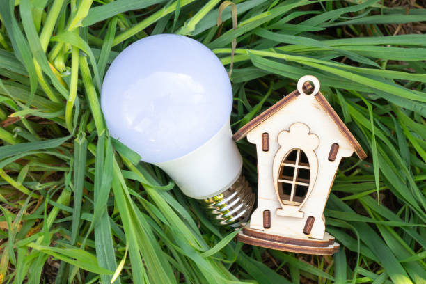 istock energy-saving light bulb and green grass on the lawn close-up 1462517322