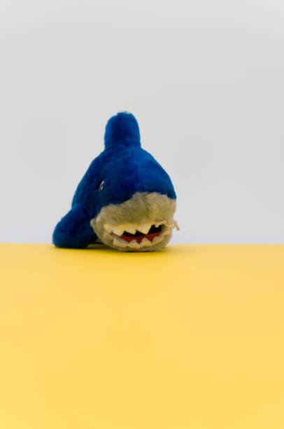 istock blue shark stuffed toy on a yellow background 1462529889