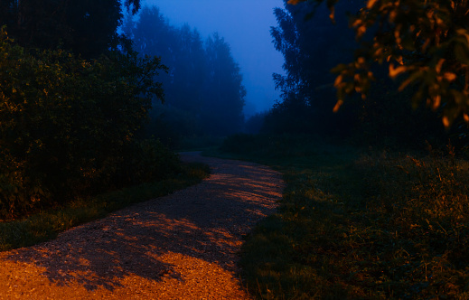 Path on a misty blue hour at arboretum in Tartu, Estonia