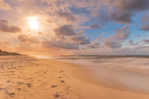 istock Beautiful shot of a sandy beach under a cloudy sky during a sunset 1462533578