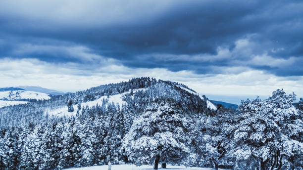 istock Scenic winter landscape on a mountain with trees covered with snow under a dark cloudy sky 1462536657