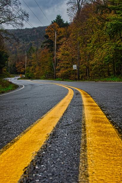 istock Winding road in a dense green forest on a gloomy day 1462537427