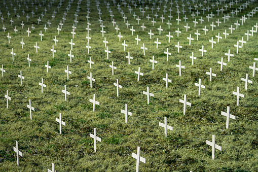 A high angle shot of rows of white crosses on a fiel