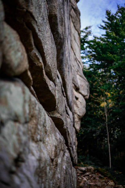 istock Selective shot of a high cliff in the forest 1462544269