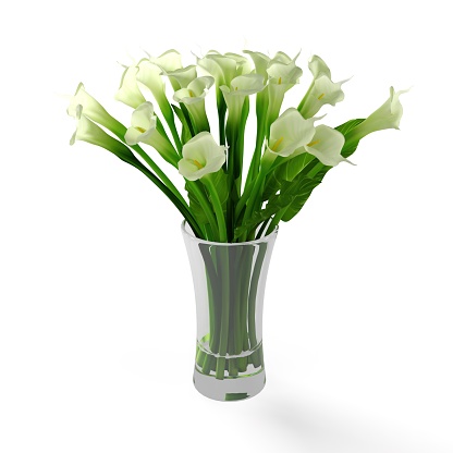 A 3D rendering of white callas in vase
