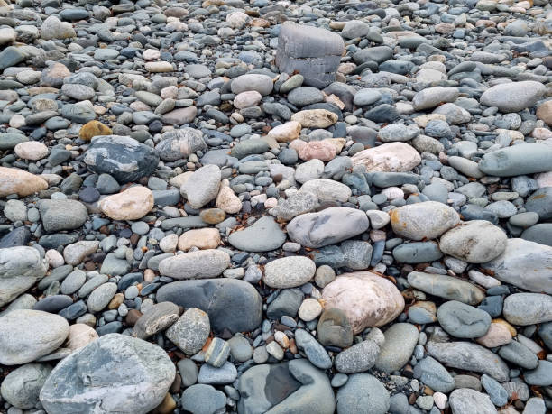 istock water-sharpened stones on the bank of a mountain river. 1462547948