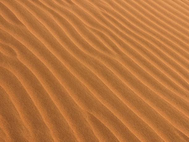istock Closeup shot a wavy brownish sand texture, backgrounds and wallpapers 1462548750