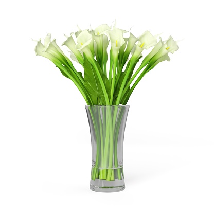 A 3d rendering of a bouquet of white calla lilies isolated on a white background