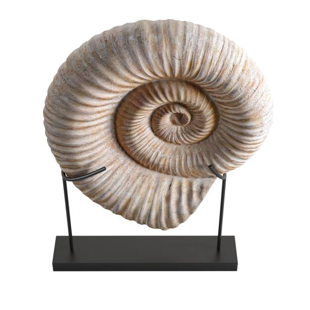istock 3D rendering of a swirl shell sculpture isolated on a white background 1462549850