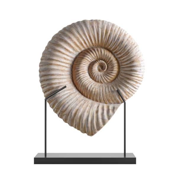 istock Decorative antique sea shell isolated on white 1462550674