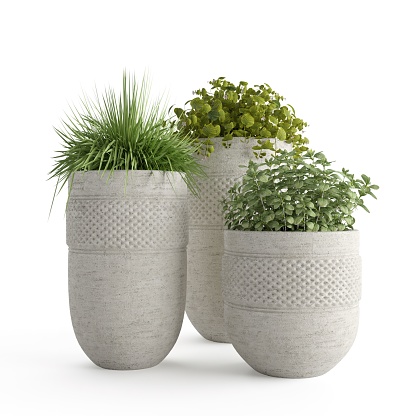A 3D rendering of plants in pots isolated on a white background