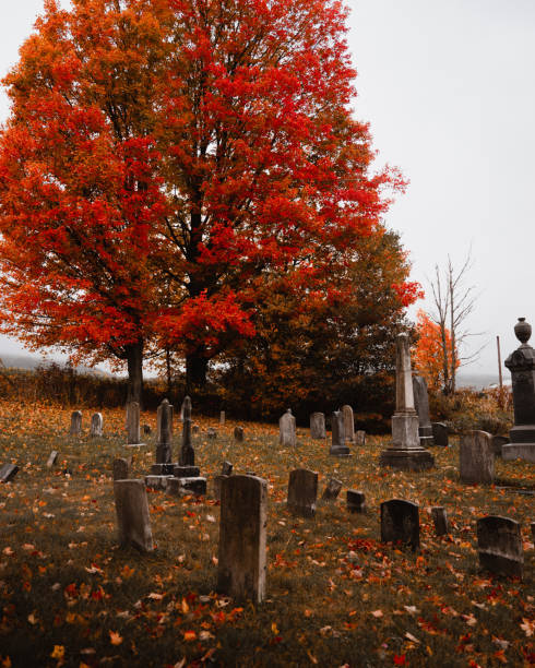 istock Bright orange tree in a cemetery on a gloomy ay in autumn 1462551405