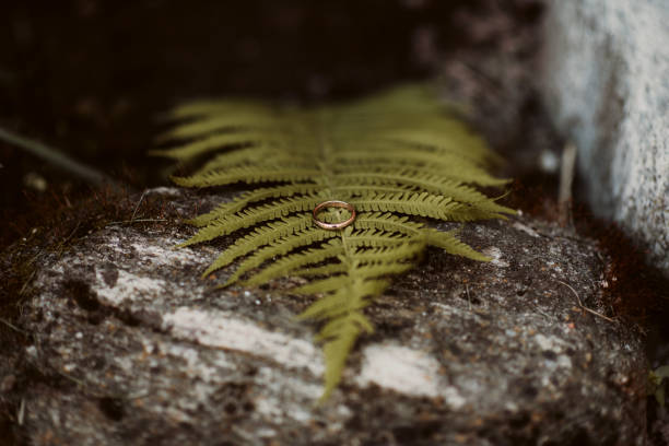 Lost wedding ring in mossy nature.