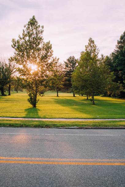 istock Vertical view of a road before the grass and trees at sunset 1462552574