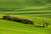 Beautiful green hills in Moravia, the Czech Republic during daylight