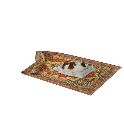 A 3D rendering of a cat sleeping on a cushion on a rug isolated on white background