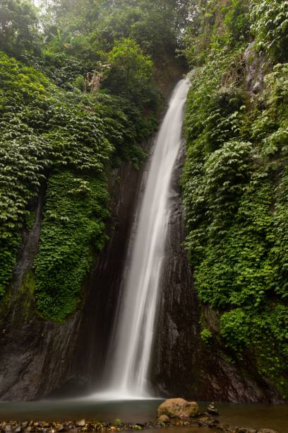 istock Vertical shot of a beautiful narrow waterfall in a forest 1462557580