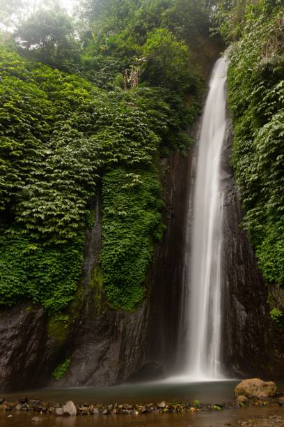 istock Vertical shot of a beautiful narrow waterfall in a forest 1462557581