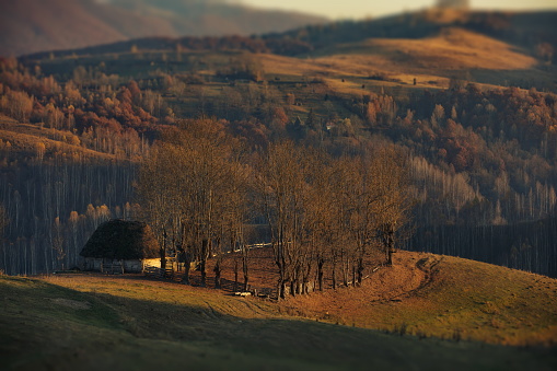 An aerial view of trees and a wooden house on rural hills in Romania