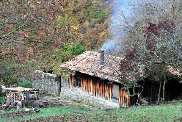 istock Scenery in autumn in Umbria 1462558433